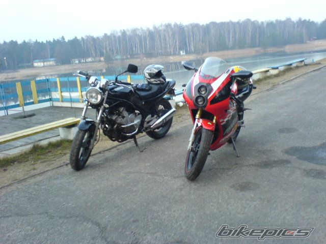2003 DERBI GPR 50 REPLICA | Picture 1180031 motorcycle photo