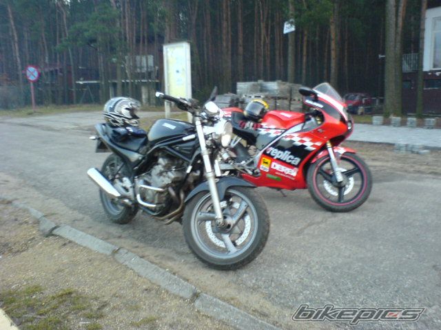 2003 DERBI GPR 50 REPLICA | Picture 1180033 motorcycle photo