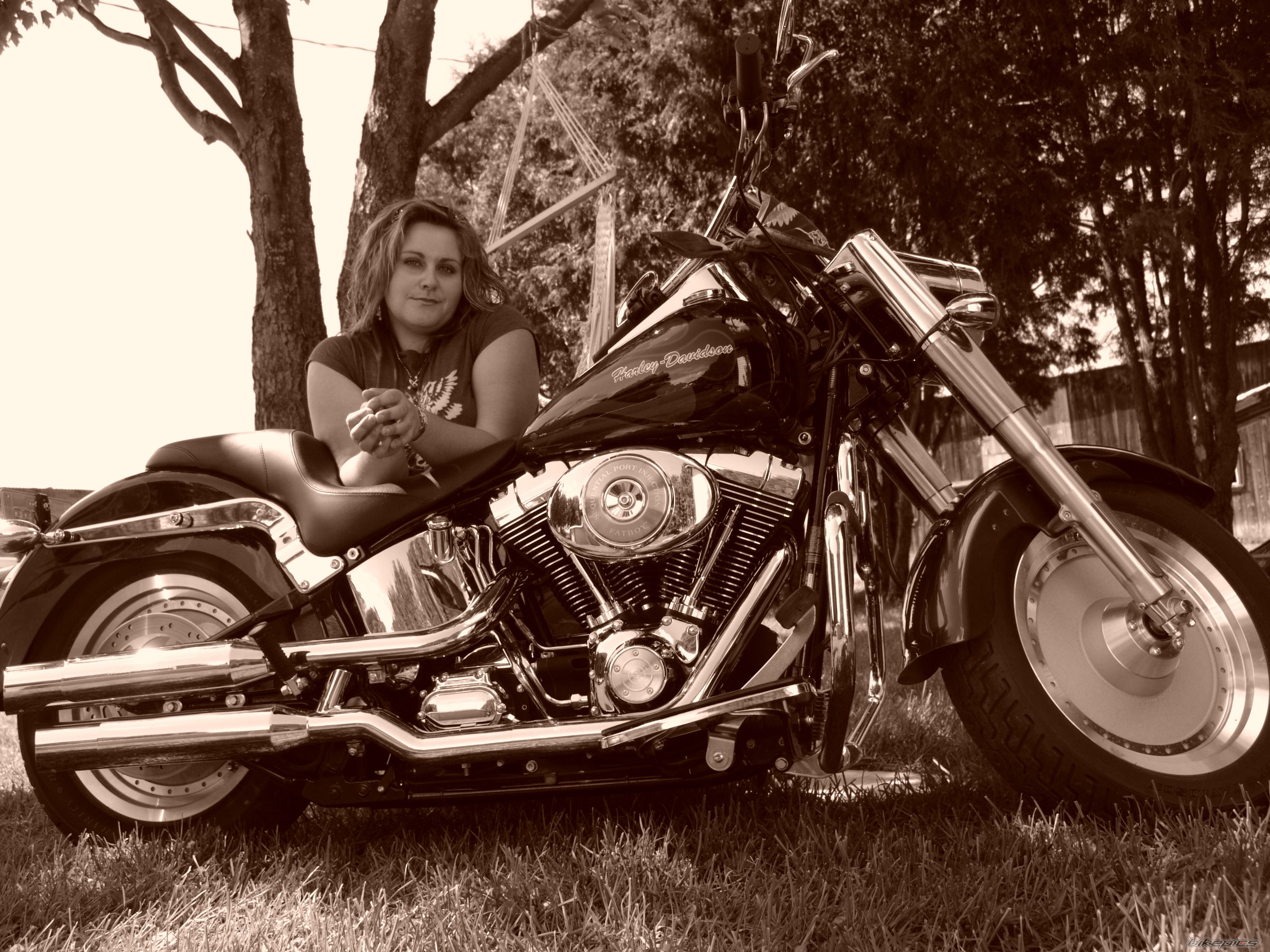 2006 HARLEY DAVIDSON FLSTF | Picture 1180139 motorcycle photo