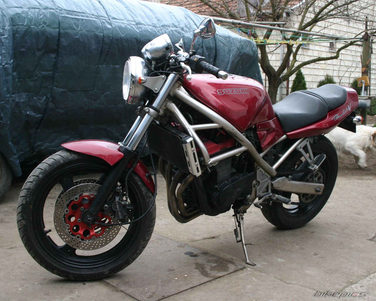 1994 SUZUKI BANDIT 400 | Picture 1180358 motorcycle photo