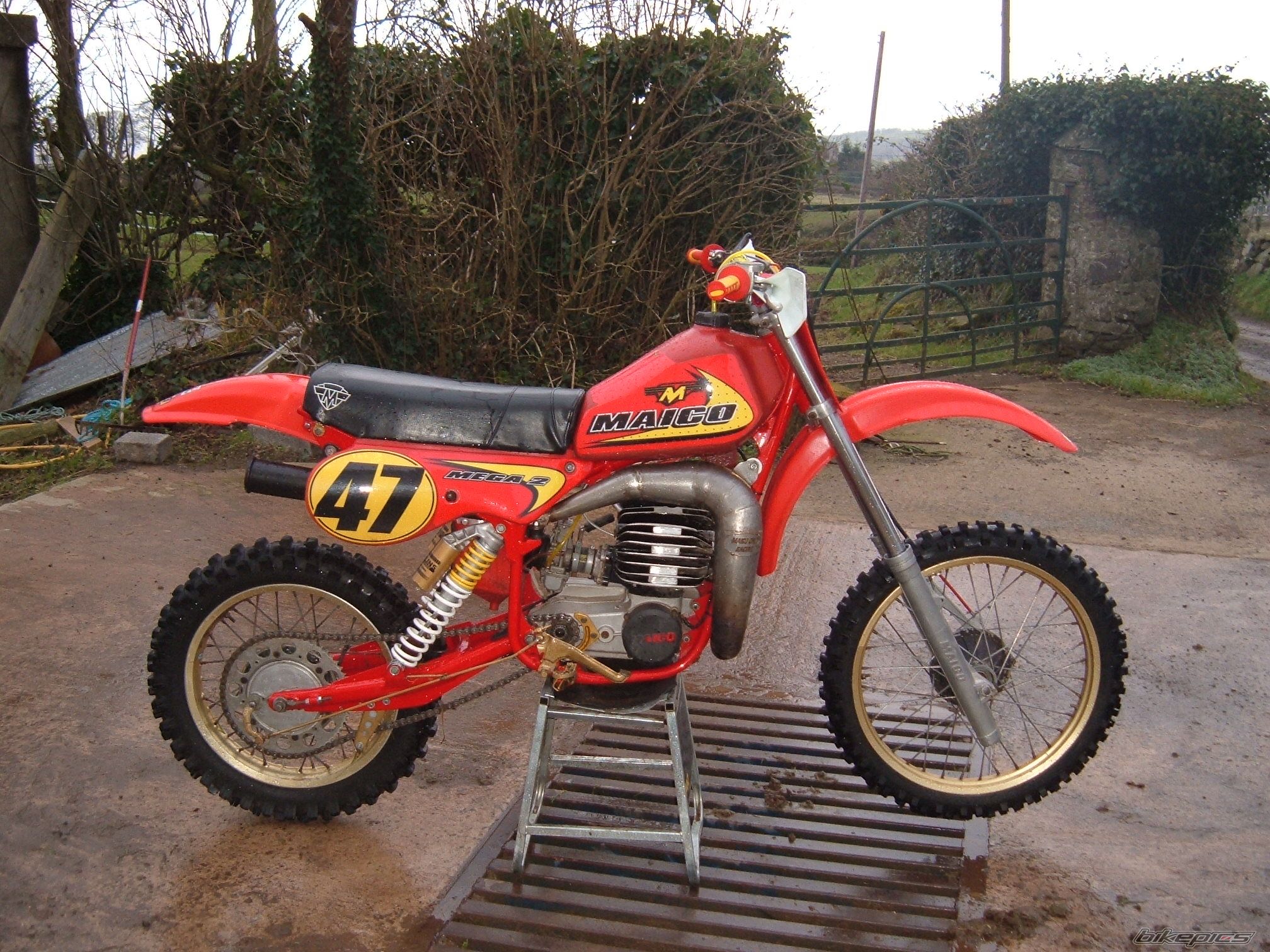 1981 MAICO ONLY MC 490 | Picture 1180499 motorcycle photo