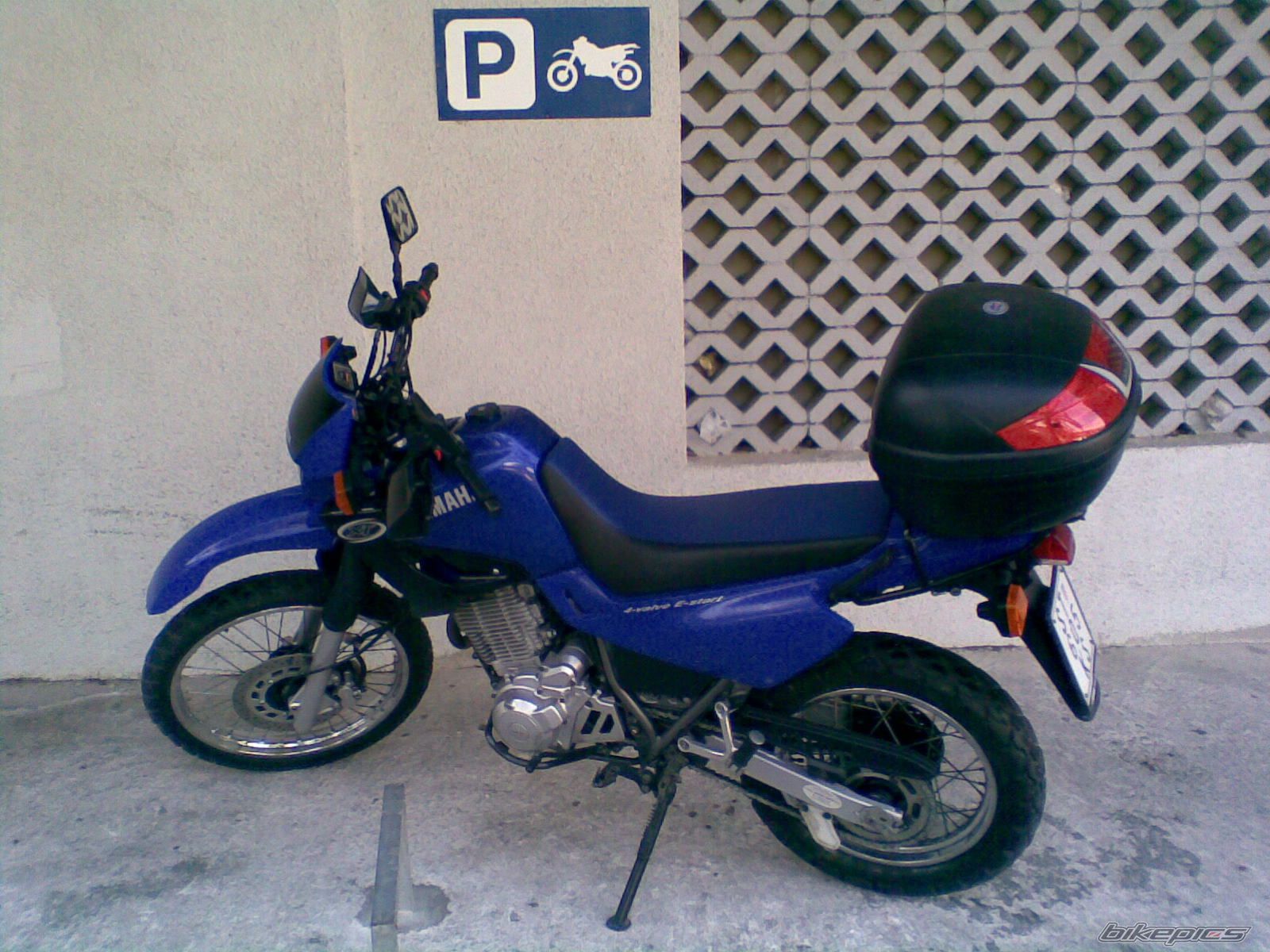2003 YAMAHA XT 600 | Picture 1180811 motorcycle photo