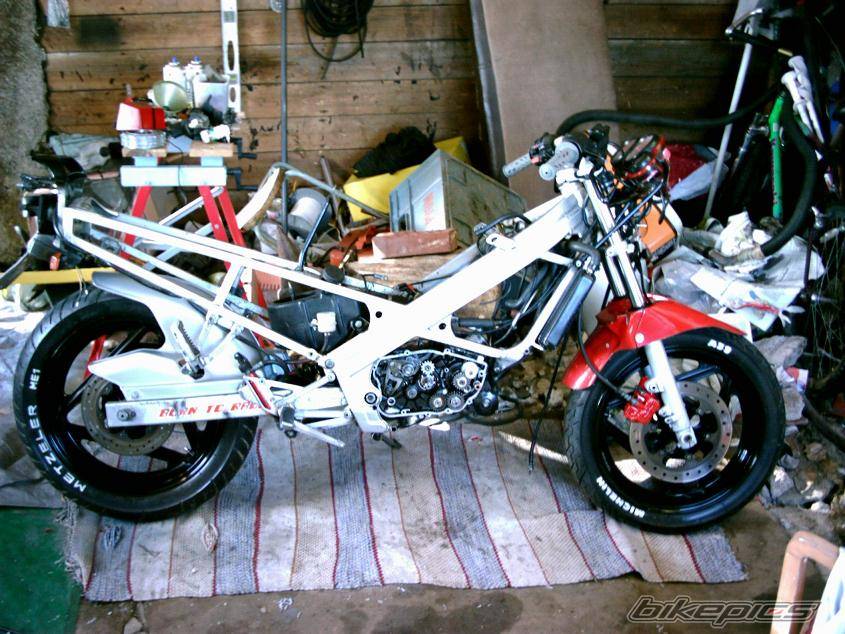 1989 CAGIVA FRECCIA C12 | Picture 118114 motorcycle photo