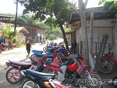 2005 MOTORSTAR MSX 125 | Picture 1181626 motorcycle photo