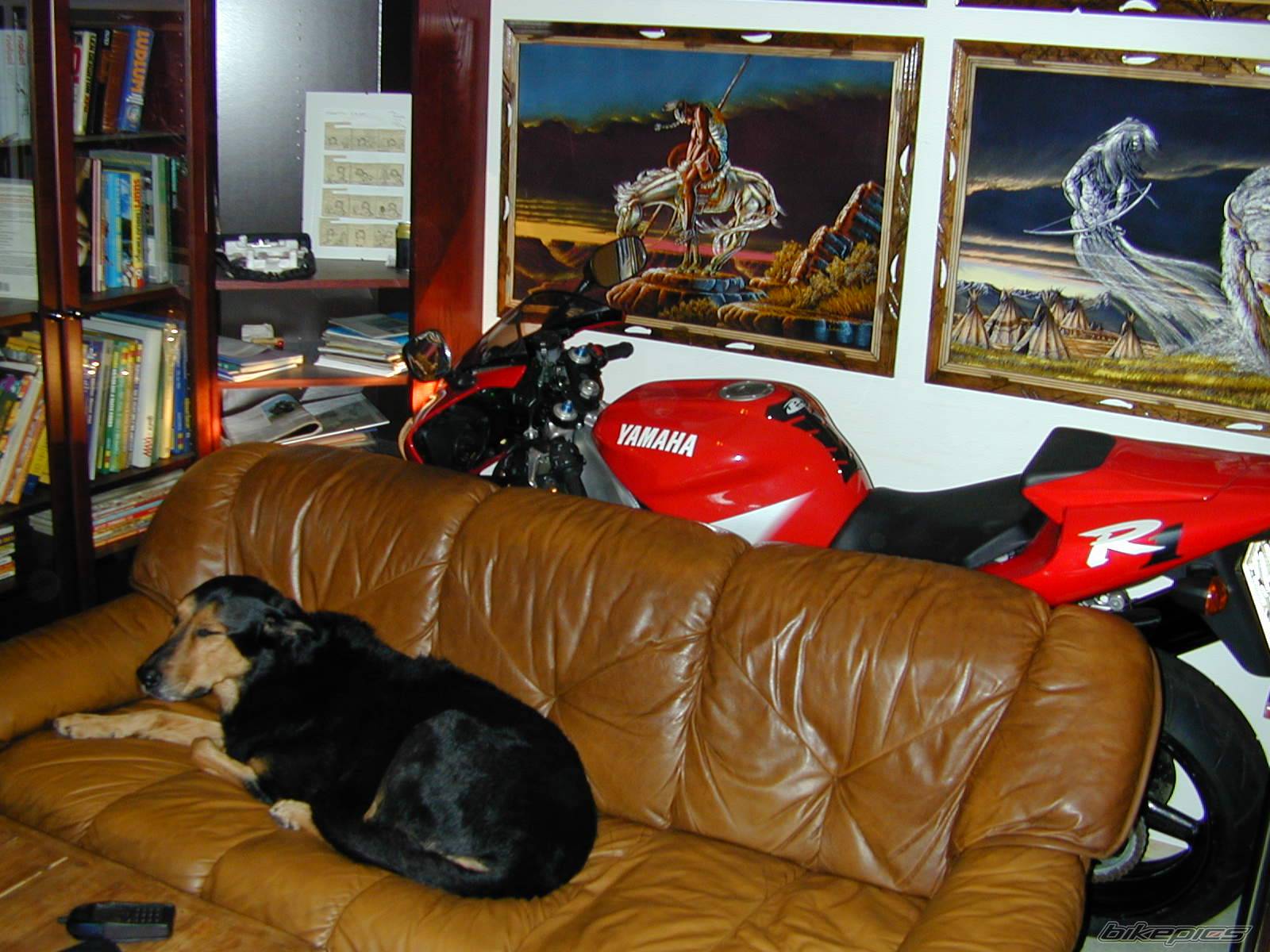 2001 YAMAHA YZF R1 | Picture 11825 motorcycle photo