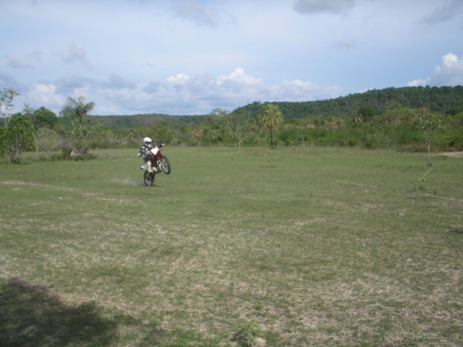 2007 HONDA CRF 230 | Picture 1182695 motorcycle photo