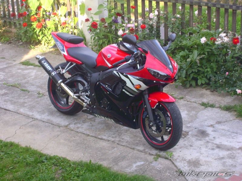 2003 YAMAHA YZF R6 | Picture 1183502 motorcycle photo