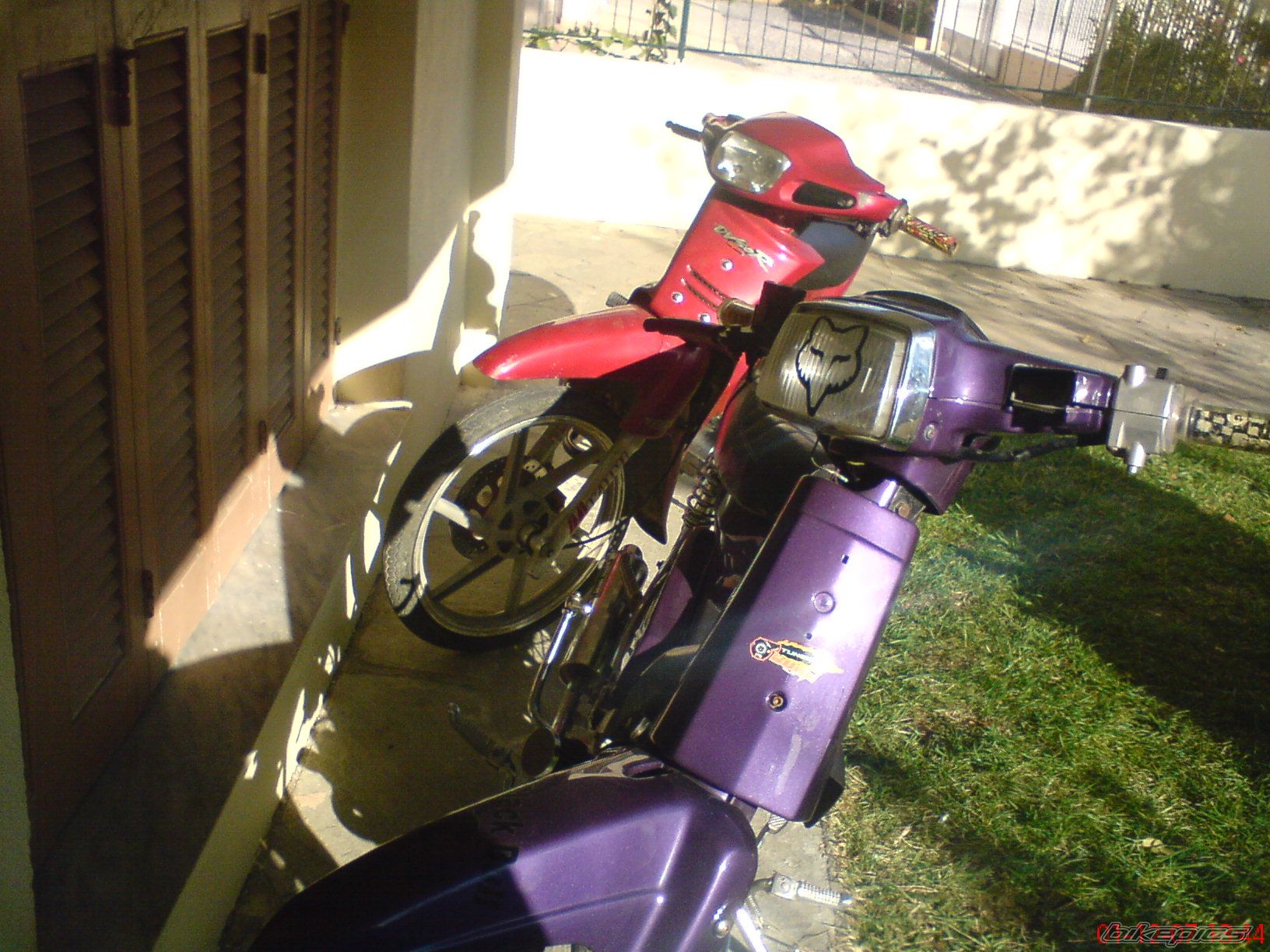 2008 HONDA GLX 50 | Picture 1184175 motorcycle photo