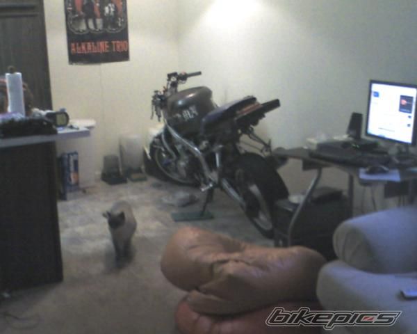 1996 HONDA CBR 600 | Picture 1184194 motorcycle photo