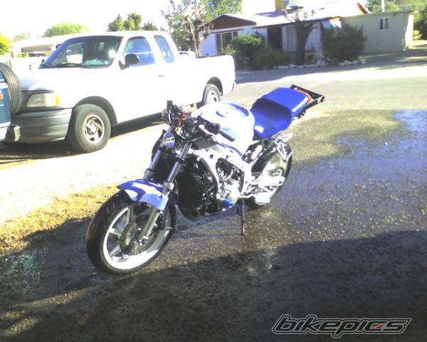 1996 HONDA CBR 600 | Picture 1184195 motorcycle photo