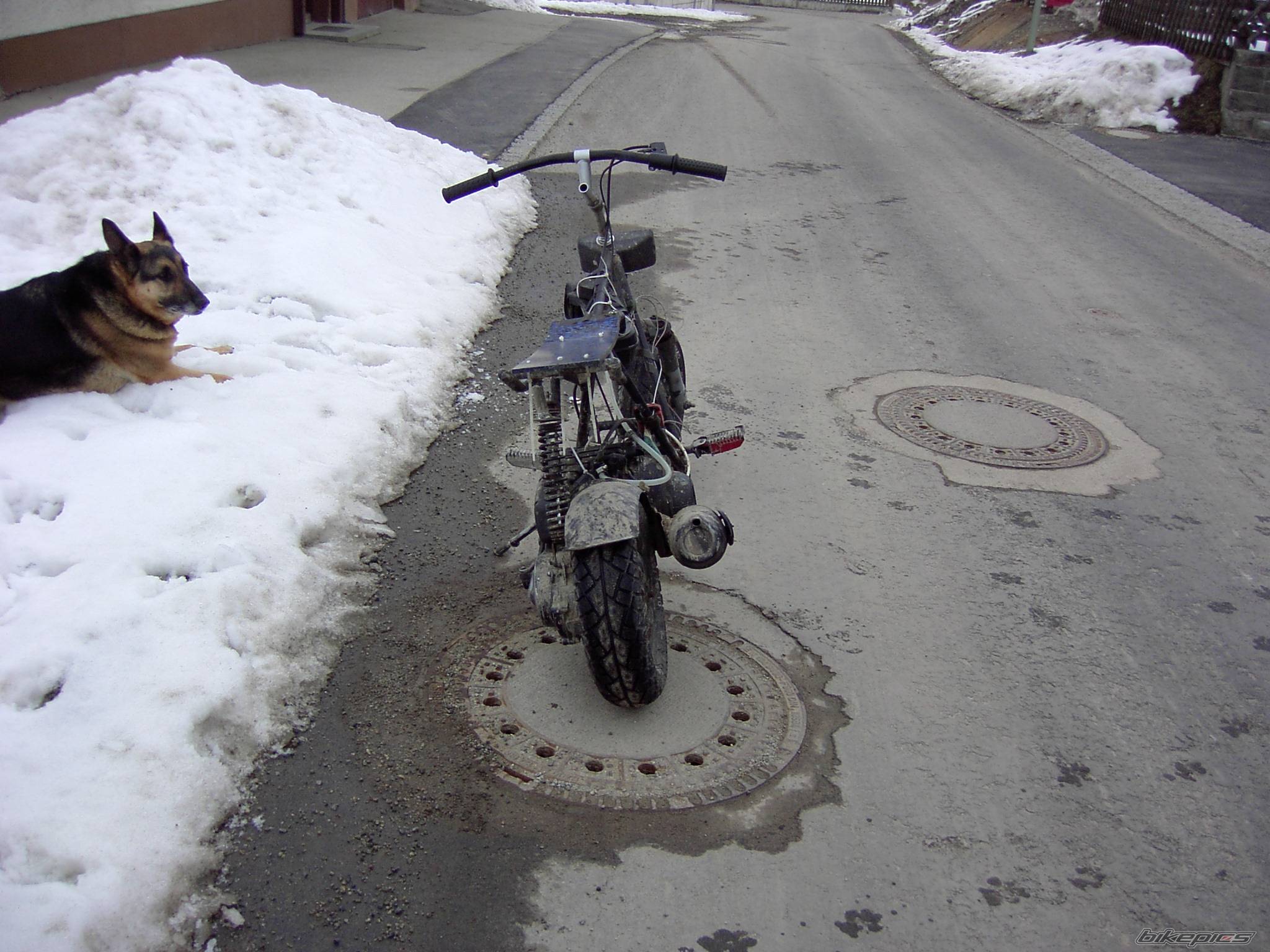 2004 PIAGGIO ZIP | Picture 118466 motorcycle photo