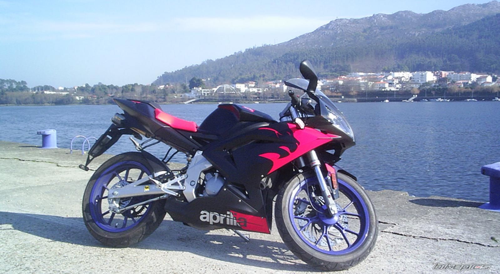 2006 APRILIA RS 50 | Picture 1184855 motorcycle photo