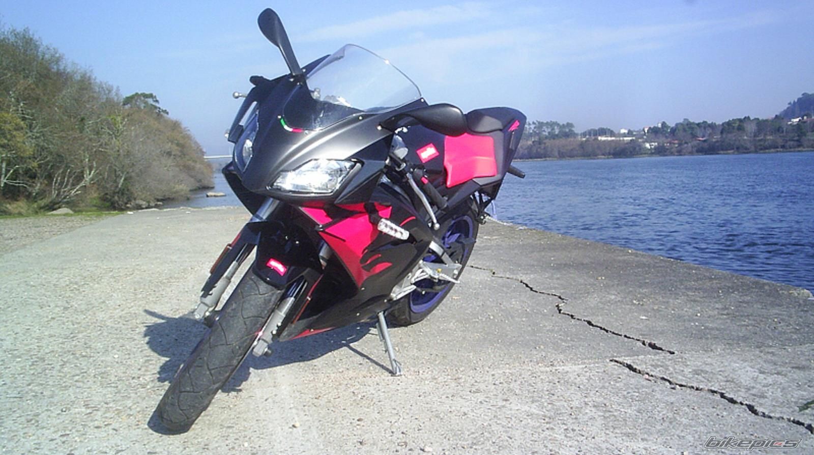 2006 APRILIA RS 50 | Picture 1184856 motorcycle photo