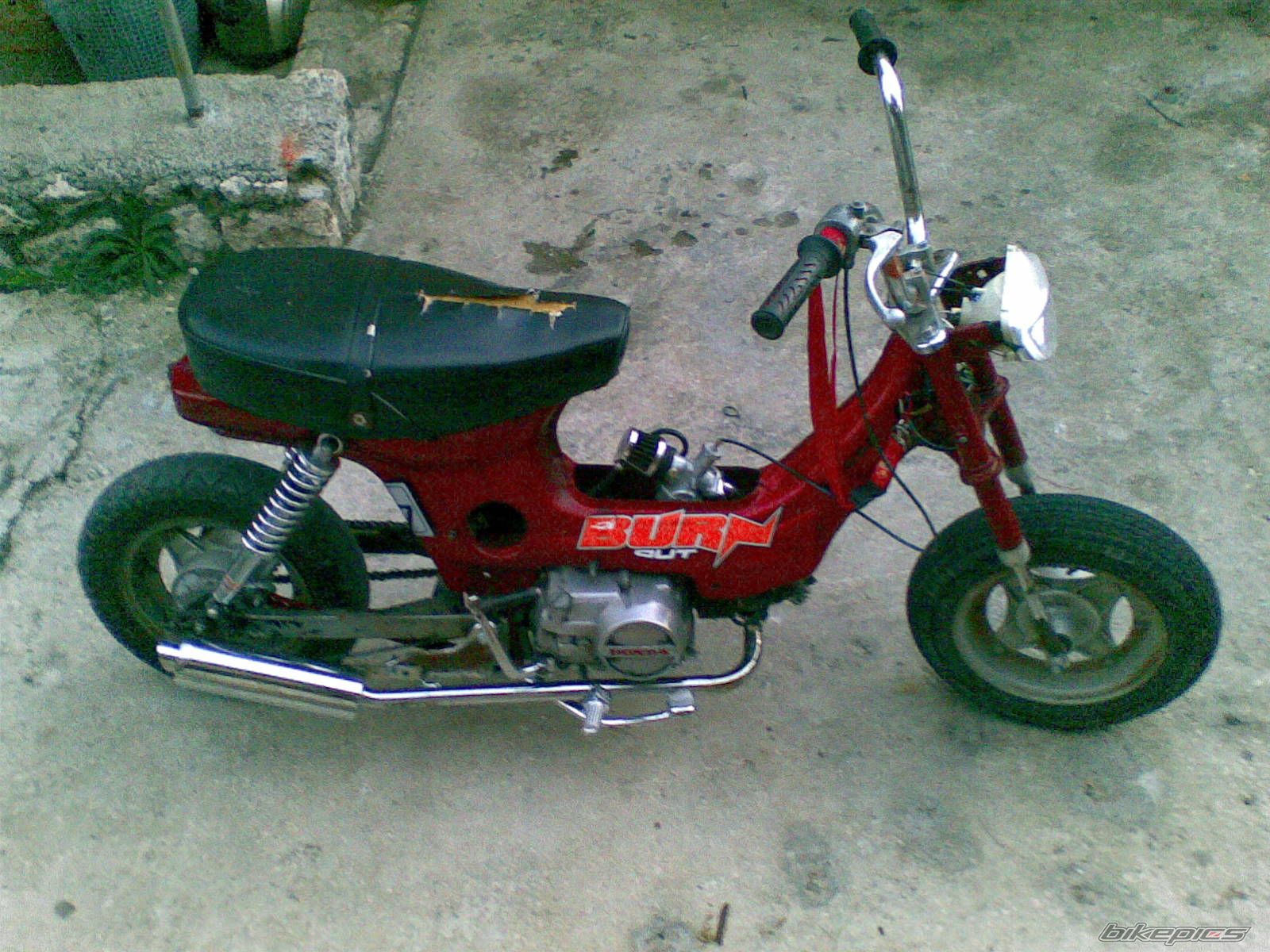 2008 HONDA CHALY | Picture 1184869 motorcycle photo