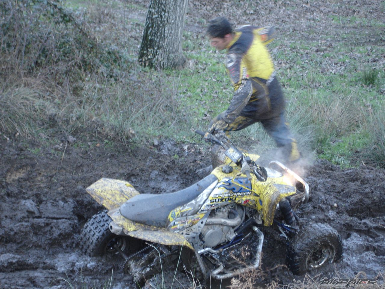 2008 SUZUKI LTR 450 | Picture 1184977 motorcycle photo