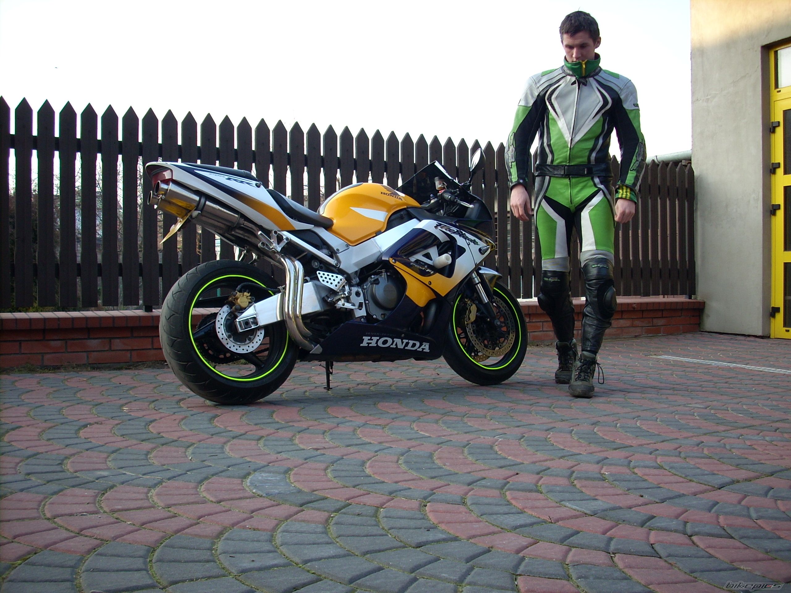 2001 HONDA CBR 900 | Picture 1185070 motorcycle photo