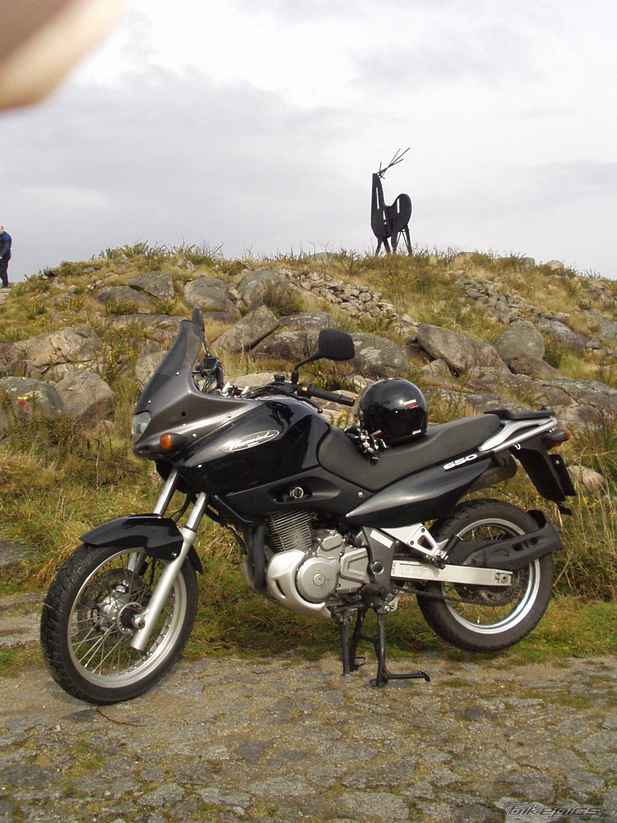 1999 SUZUKI XF 650 | Picture 118511 motorcycle photo