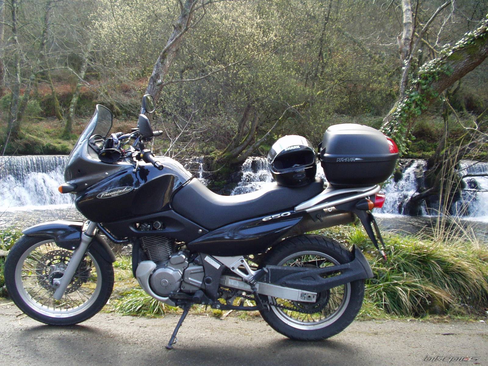 1999 SUZUKI XF 650 | Picture 118512 motorcycle photo