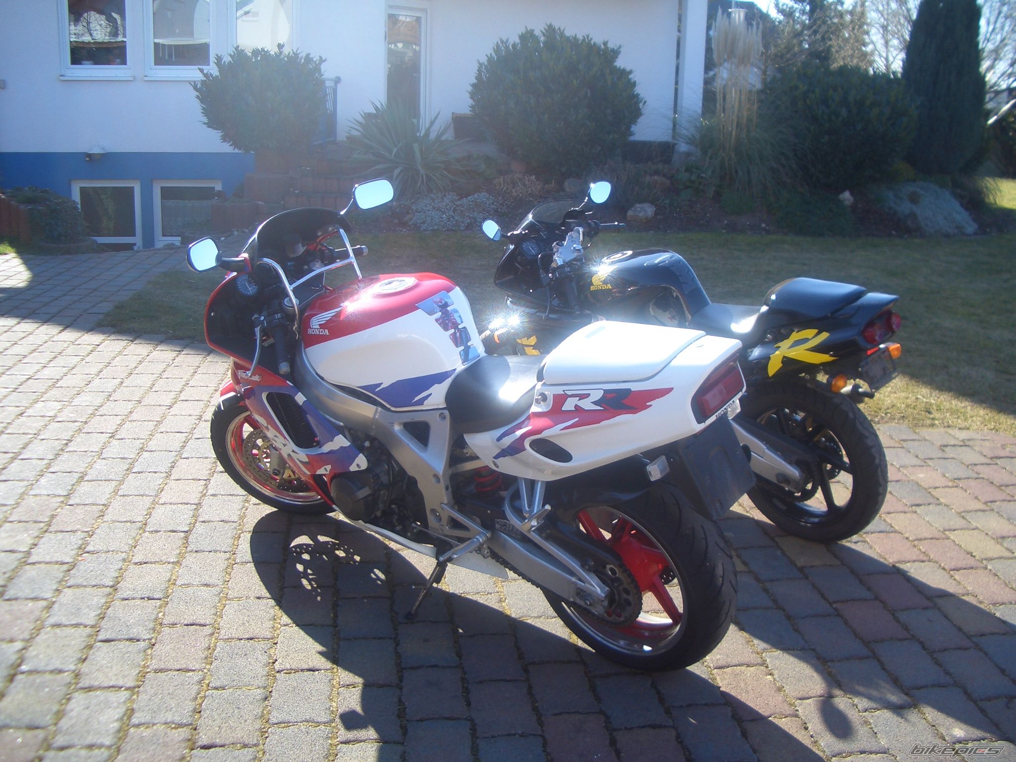 1995 HONDA CBR 900 | Picture 1185236 motorcycle photo