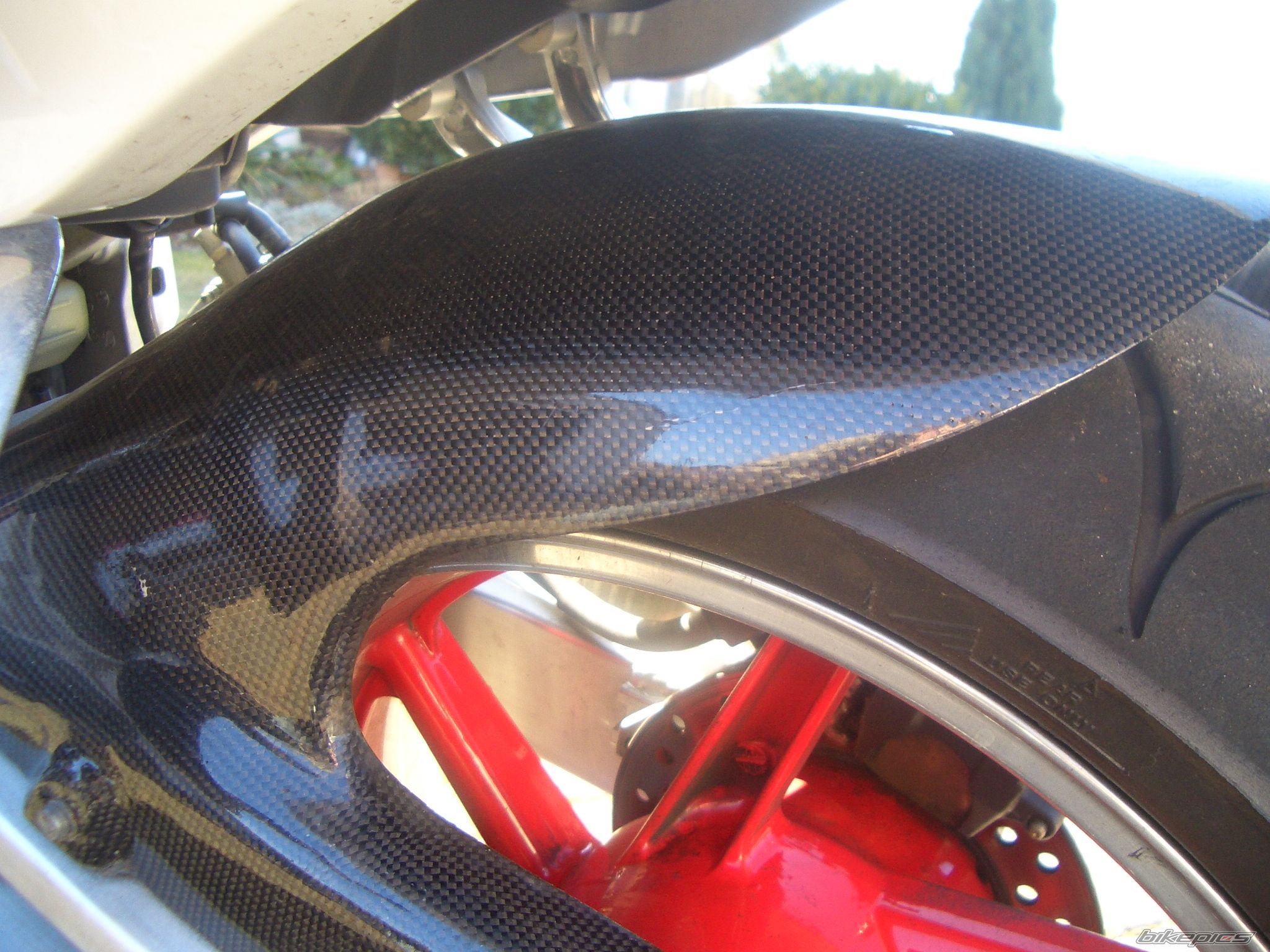 1995 HONDA CBR 900 | Picture 1185258 motorcycle photo