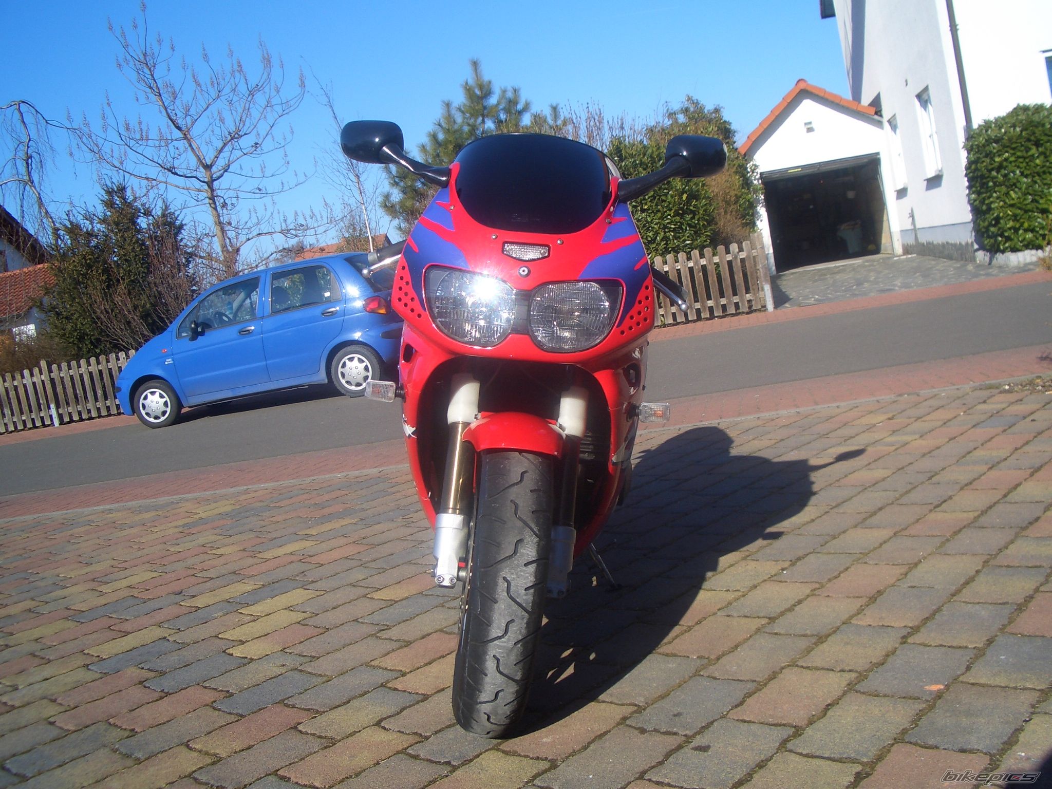 1995 HONDA CBR 900 | Picture 1185272 motorcycle photo