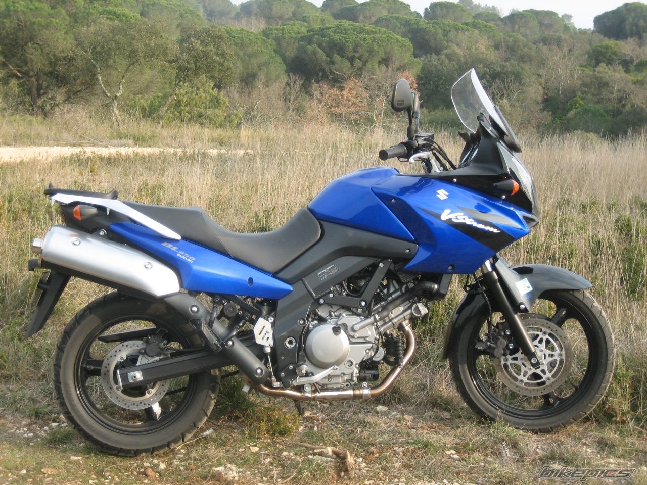 2005 SUZUKI DL 650 | Picture 1185440 motorcycle photo