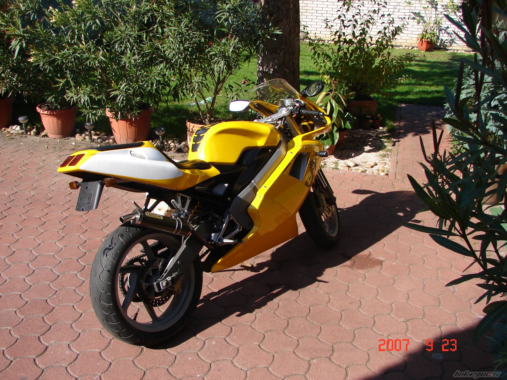 2002 CAGIVA MITO 125 | Picture 1185691 motorcycle photo