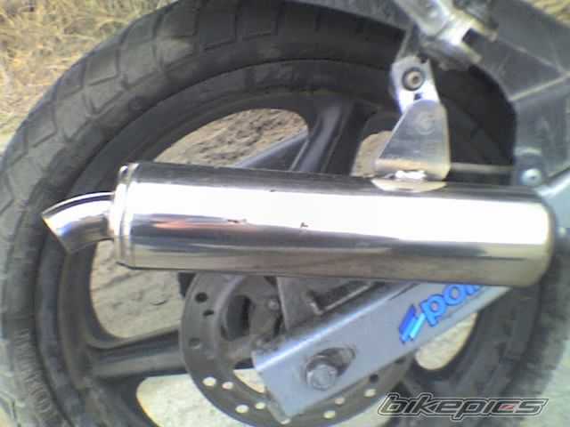 2004 DERBI GPR 50 REPLICA | Picture 1186368 motorcycle photo