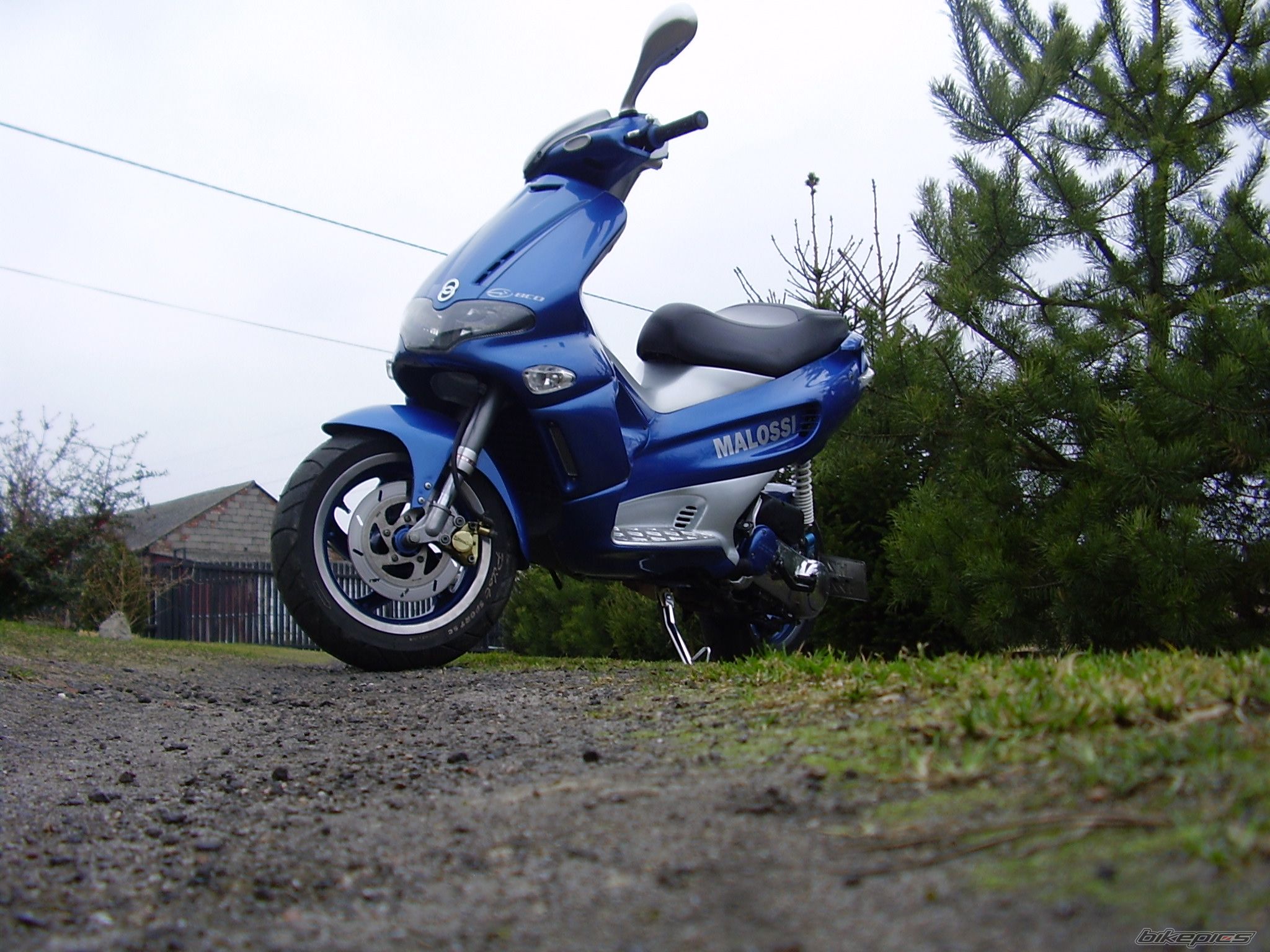 2003 GILERA RUNNER 50 | Picture 1186598 motorcycle photo
