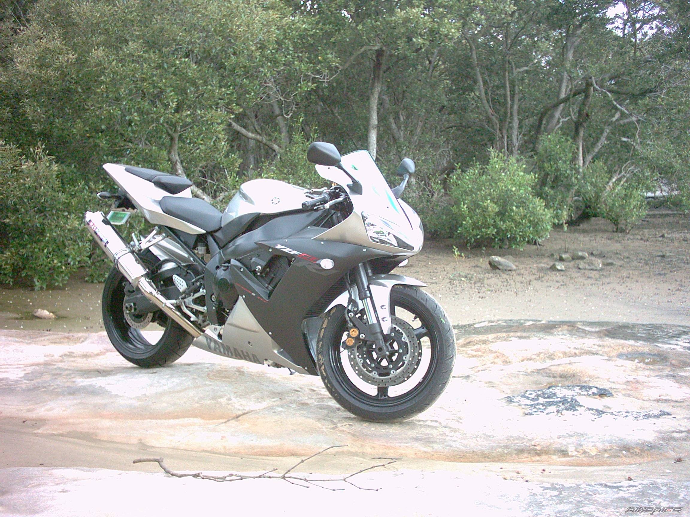 2003 YAMAHA YZF R1 | Picture 118813 motorcycle photo