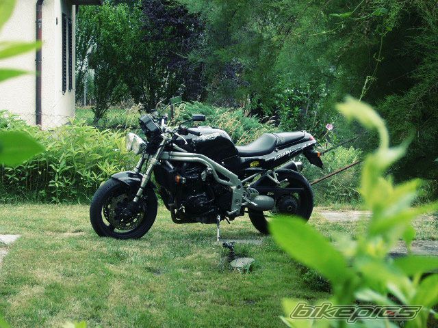 1999 TRIUMPH SPEED TRIPLE | Picture 1188588 motorcycle photo