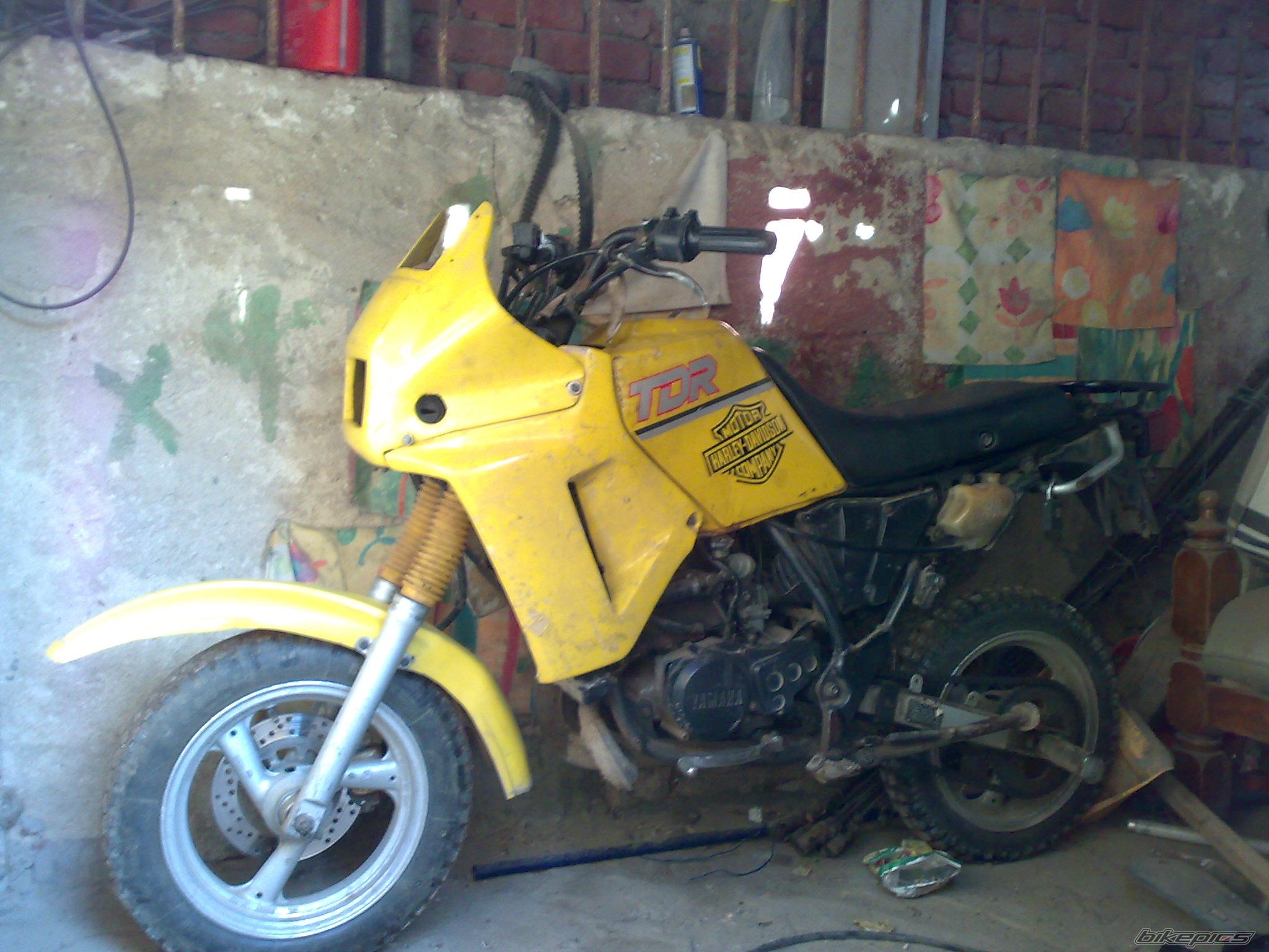 1989 YAMAHA TDR 50 | Picture 1188982 motorcycle photo