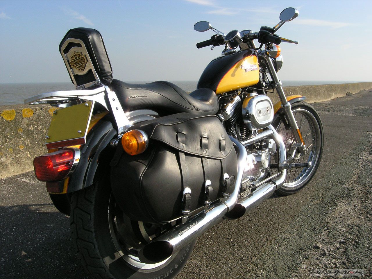 2000 HARLEY DAVIDSON XL 1200 C | Picture 1189126 motorcycle photo