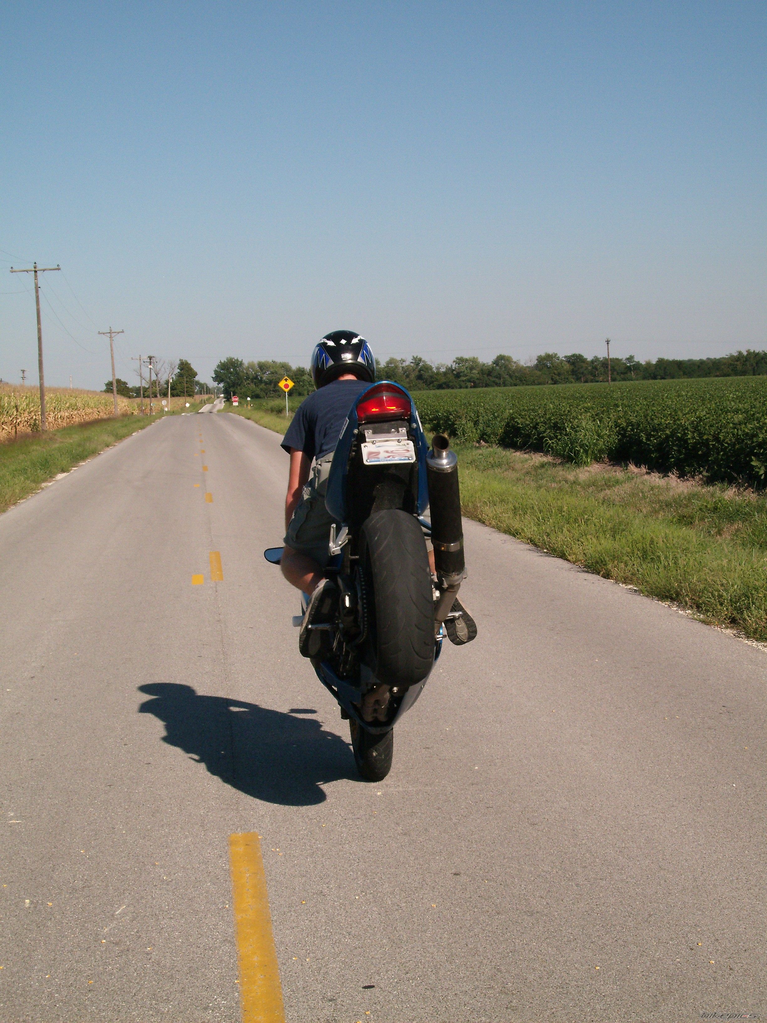 2001 HONDA CBR 900 | Picture 1189494 motorcycle photo