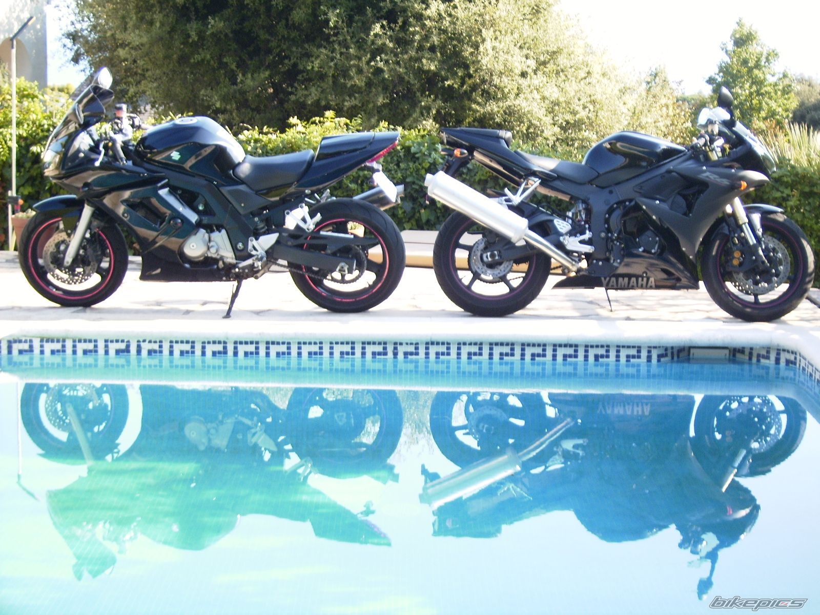 2005 SUZUKI SV 650S | Picture 1189637 motorcycle photo