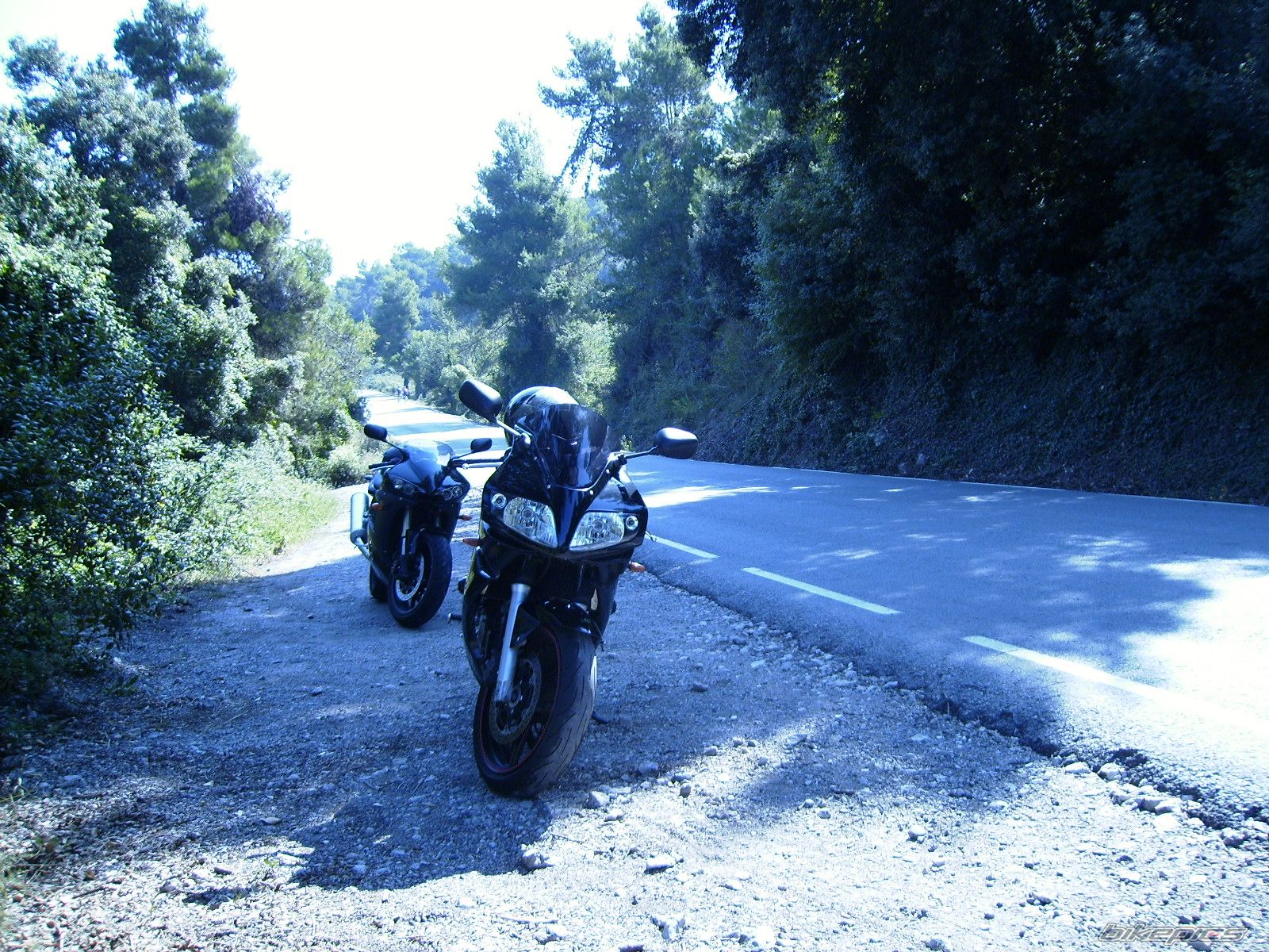 2005 SUZUKI SV 650S | Picture 1189645 motorcycle photo