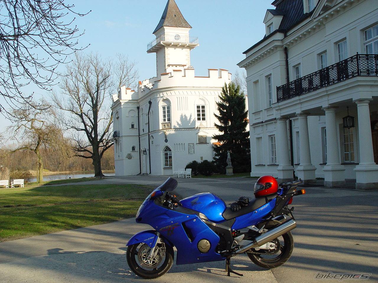 1999 HONDA CBR 1100 BLACKBIRD | Picture 119072 motorcycle photo