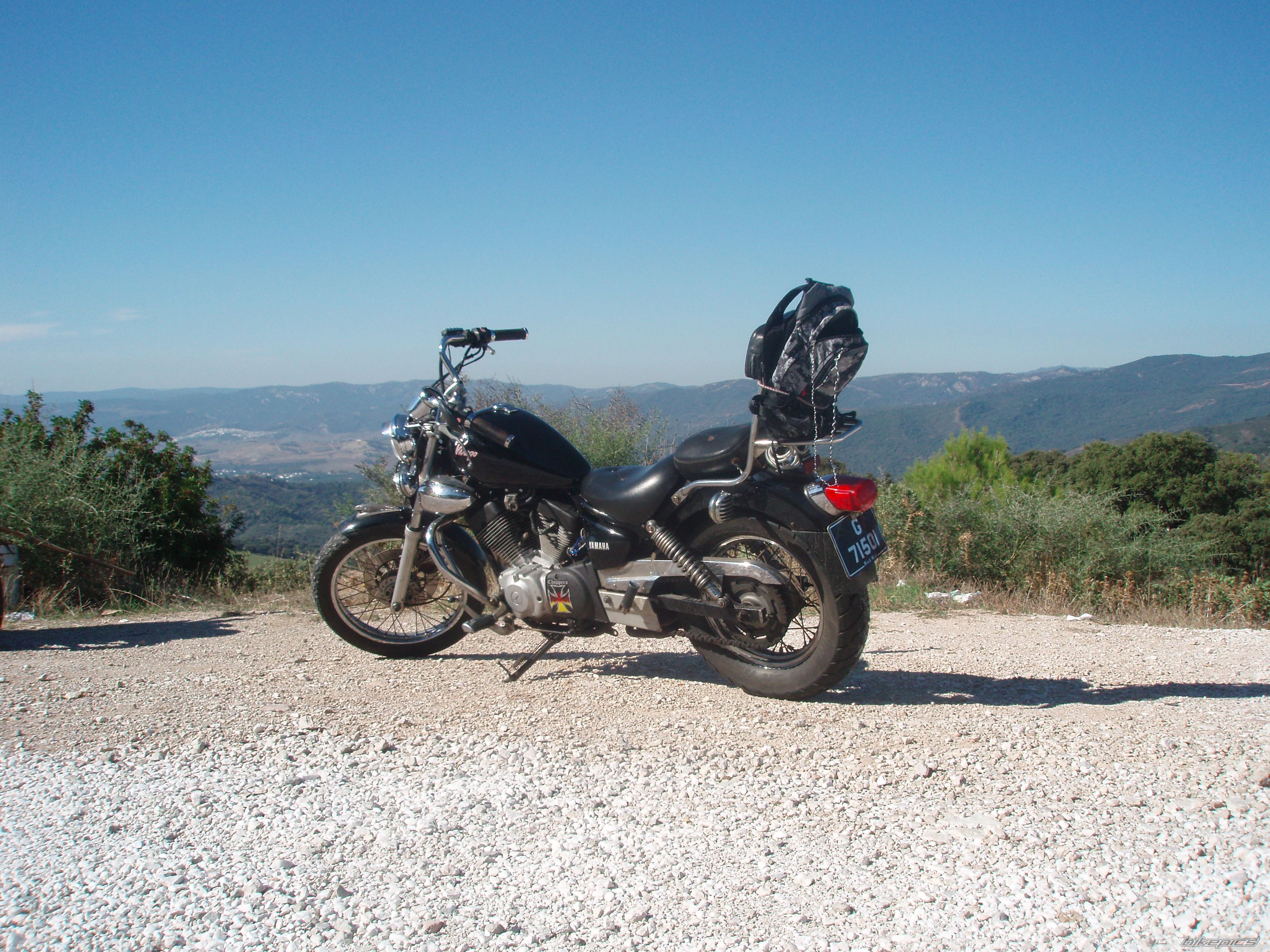 1991 YAMAHA VIRAGO 250 | Picture 1191486 motorcycle photo