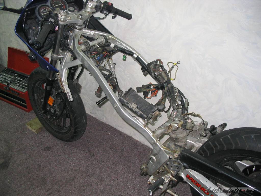 1986 YAMAHA FZ 600 | Picture 119169 motorcycle photo