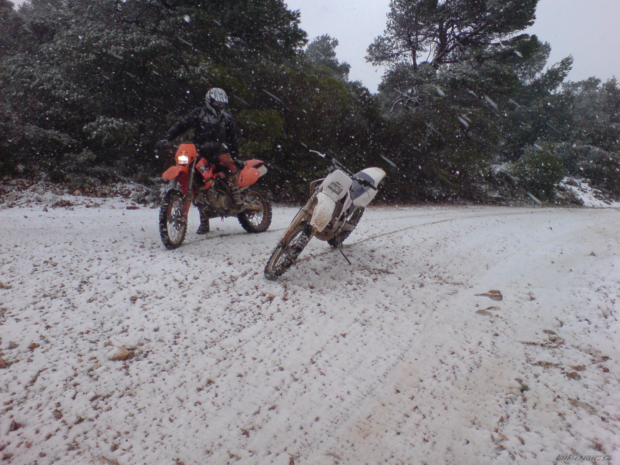 2005 KTM 625 SXC | Picture 1191948 motorcycle photo
