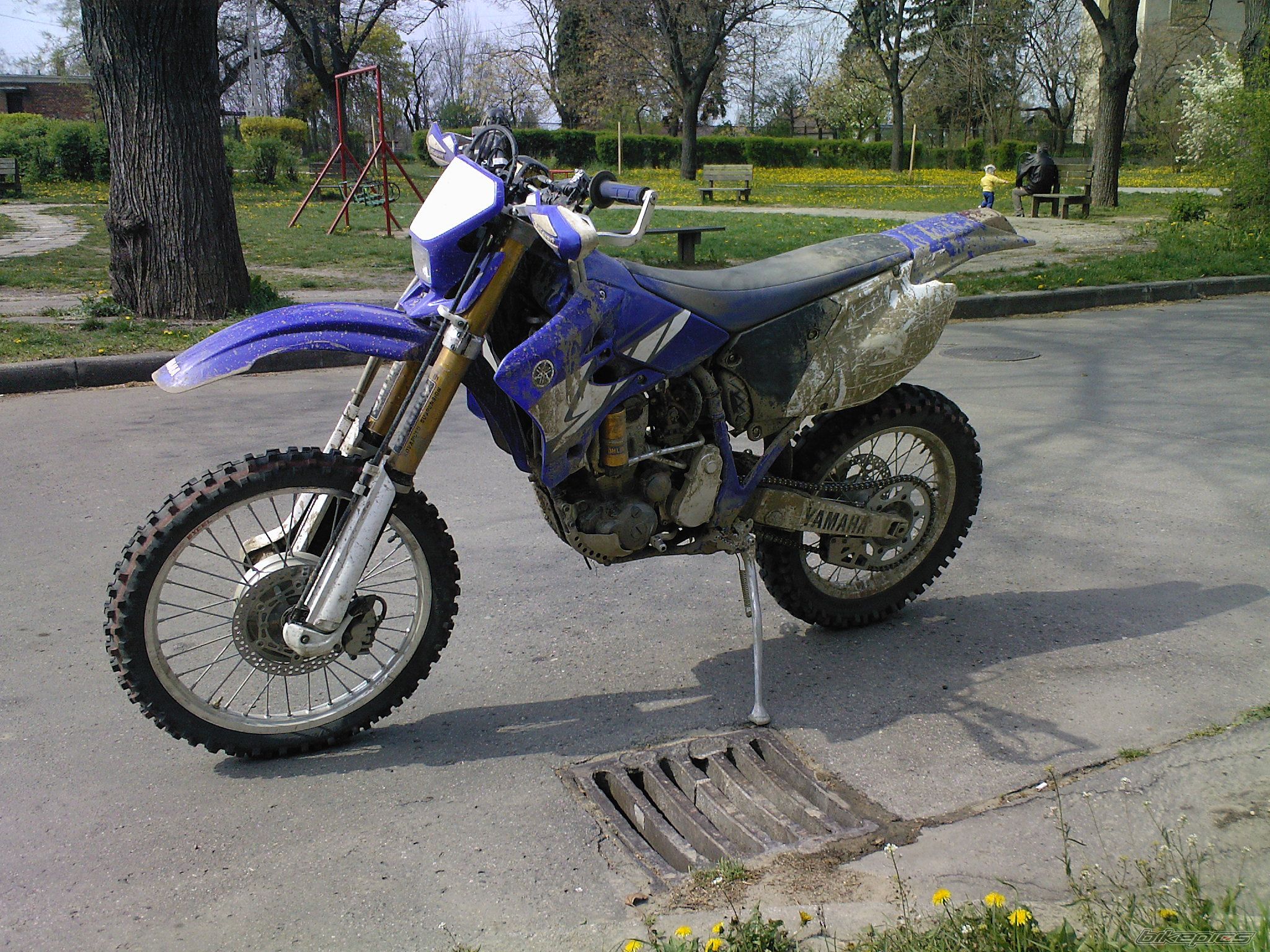 2006 YAMAHA WR 450F | Picture 1191955 motorcycle photo