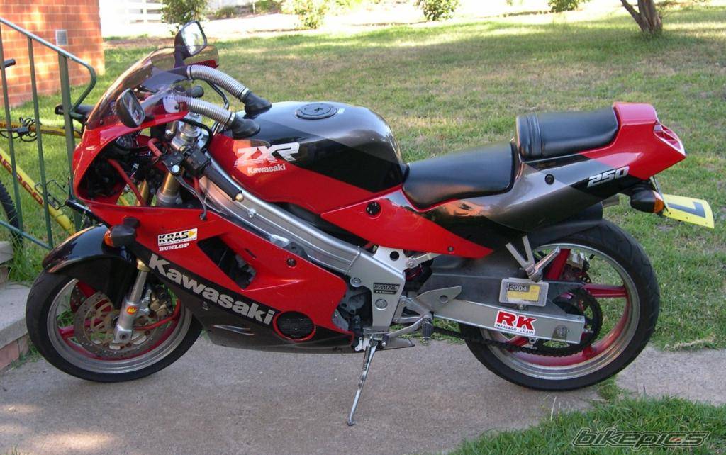 1989 KAWASAKI ZXR 250 | Picture 119219 motorcycle photo