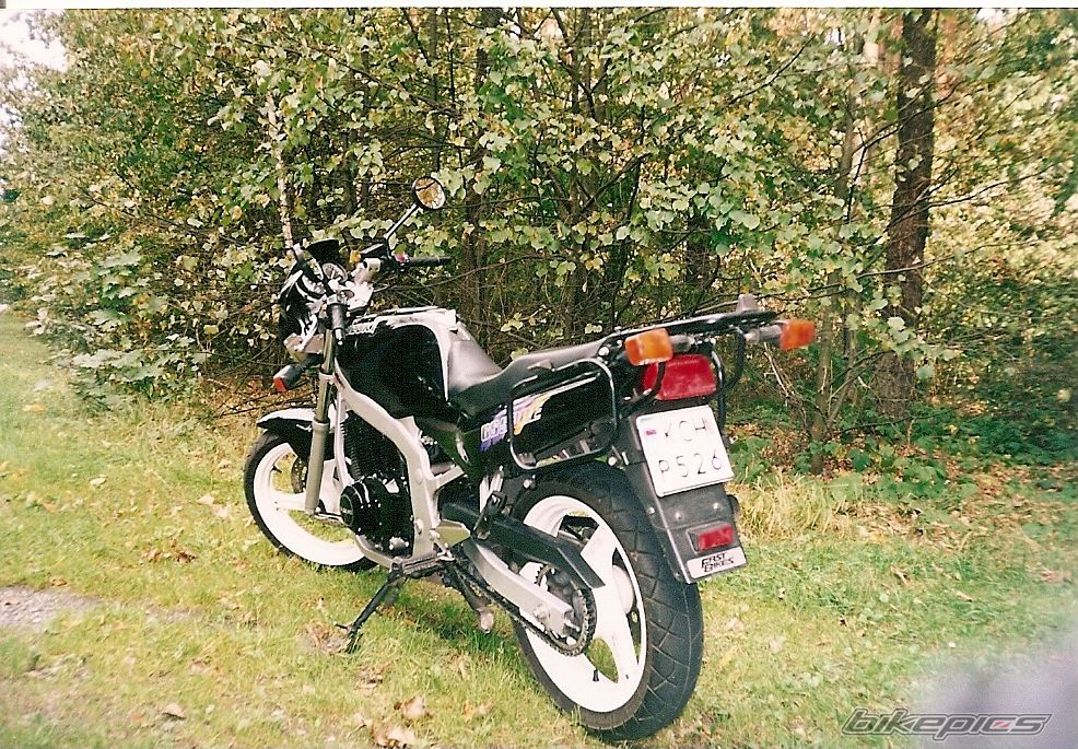 1996 SUZUKI GS 500 | Picture 1192561 motorcycle photo