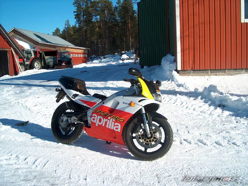 1993 APRILIA AF1 SPORT PRO 125 | Picture 119280 motorcycle photo