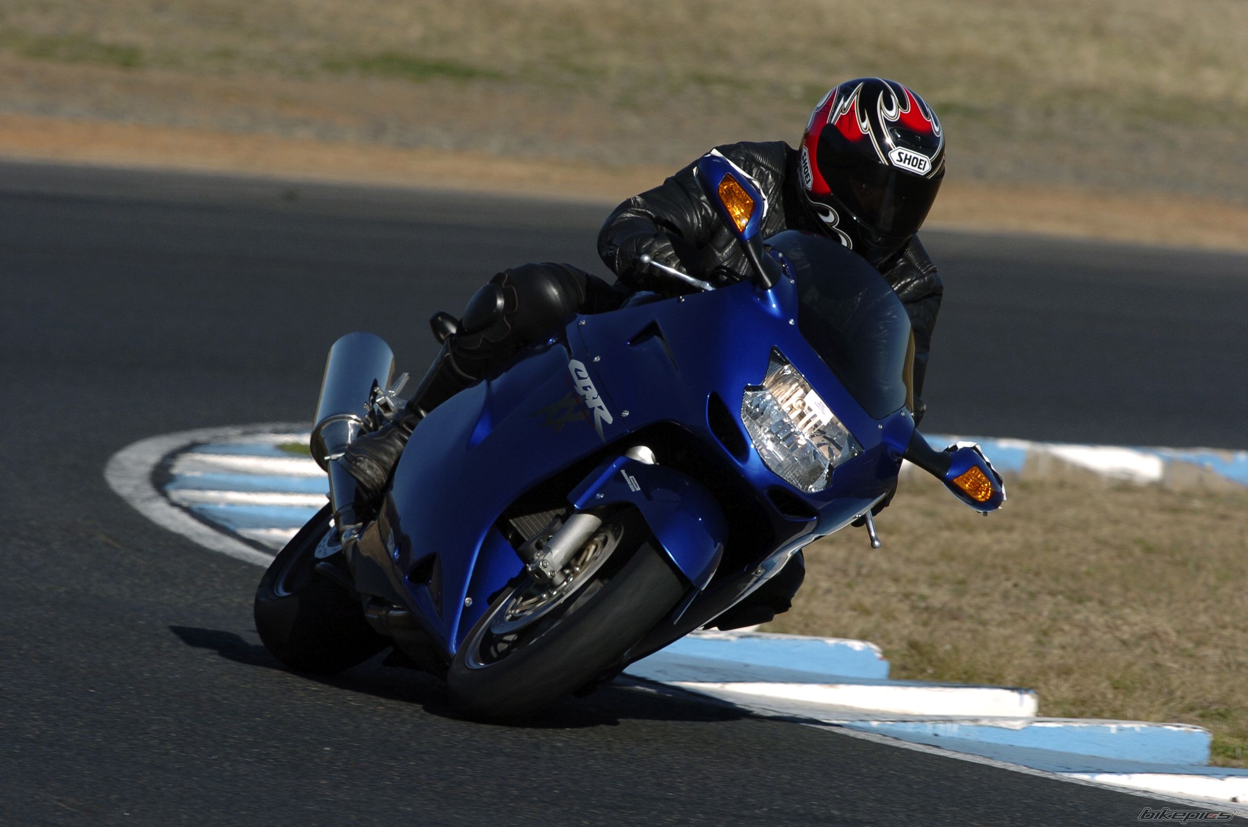 2003 HONDA CBR 1100 BLACKBIRD | Picture 1192897 motorcycle photo