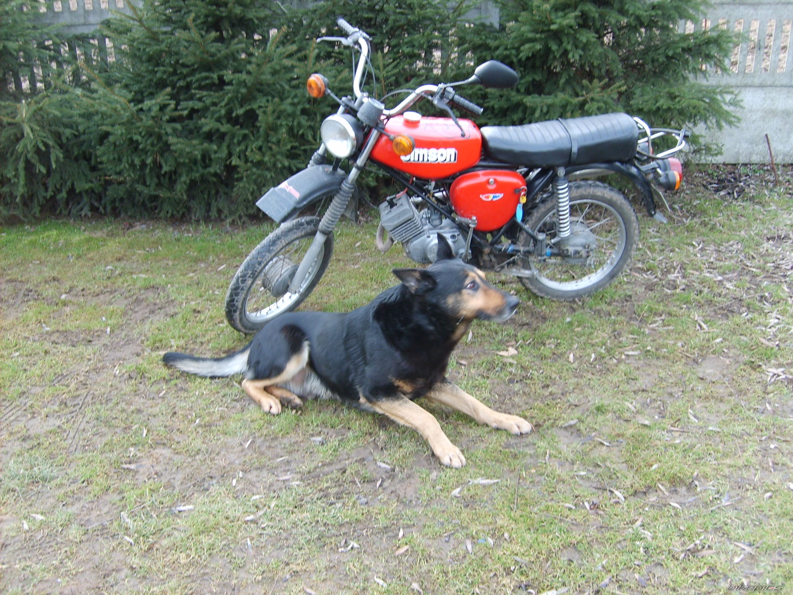 1989 SIMSON S51 ENDURO | Picture 1193364 motorcycle photo