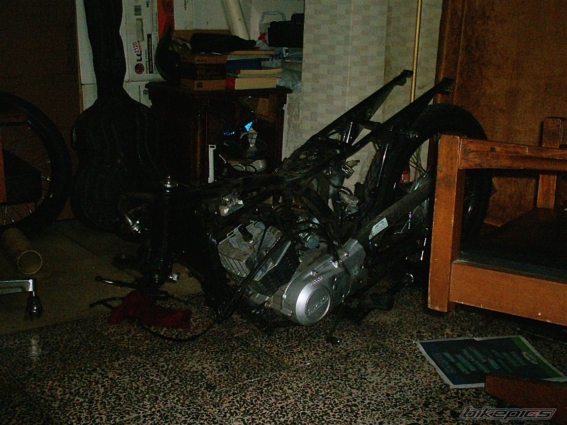 2004 SUZUKI AX 100 | Picture 1193445 motorcycle photo