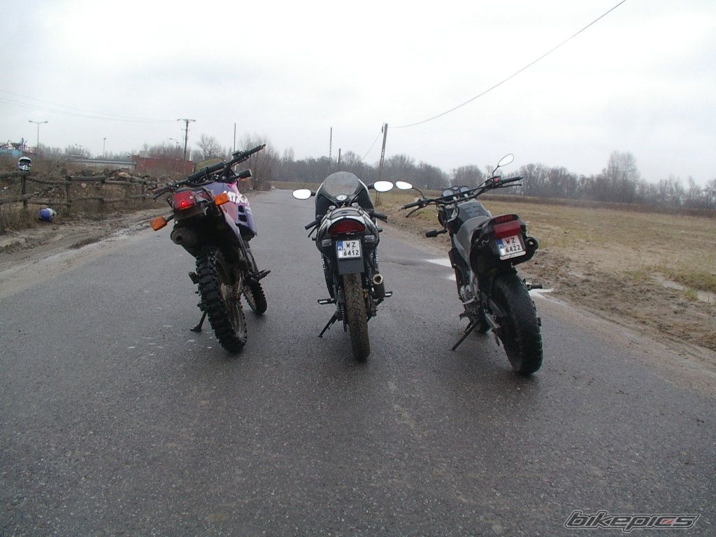 2004 DERBI GPR 50 REPLICA | Picture 1193755 motorcycle photo