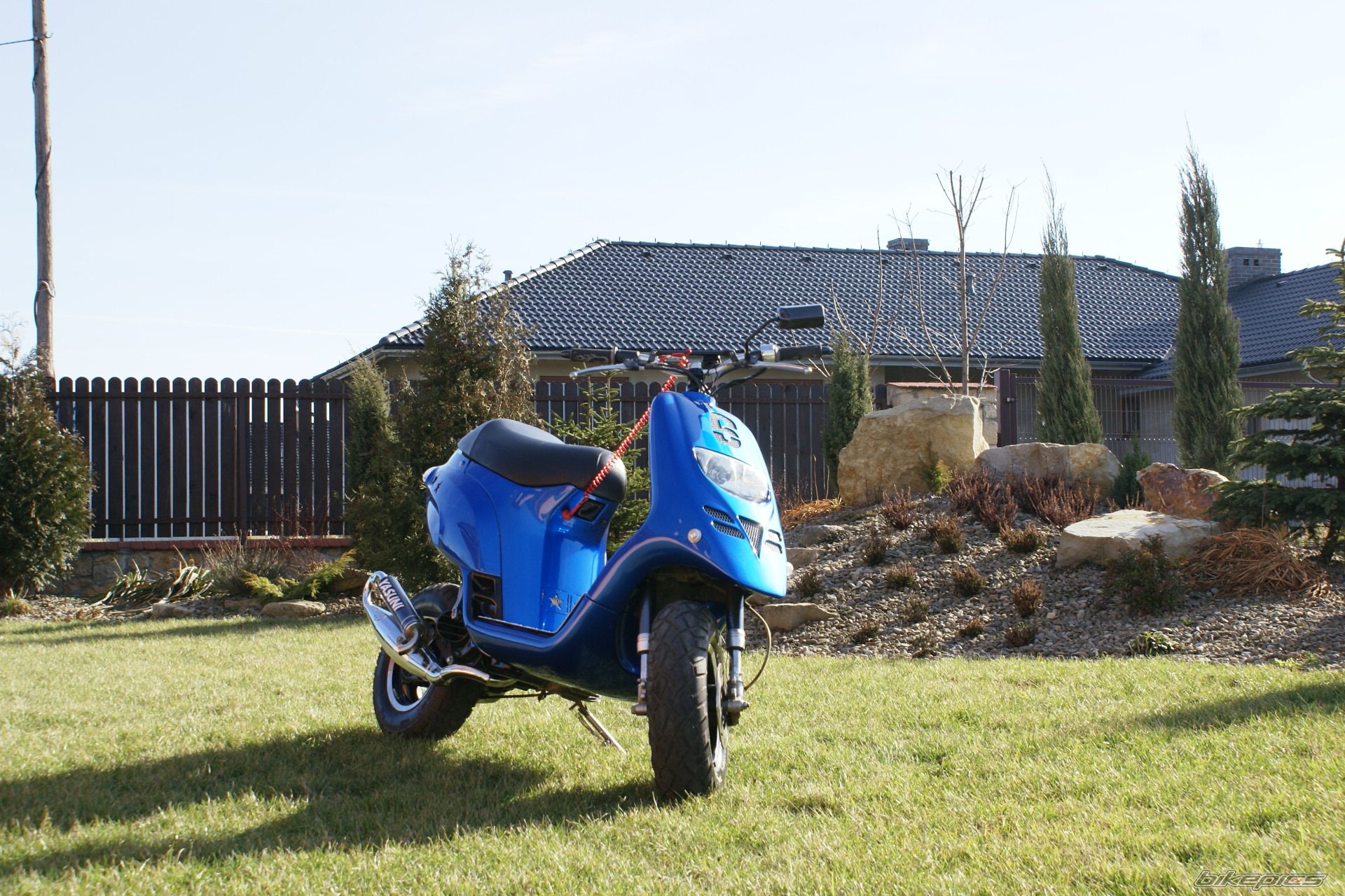 2003 PIAGGIO TPH 50 | Picture 1194450 motorcycle photo