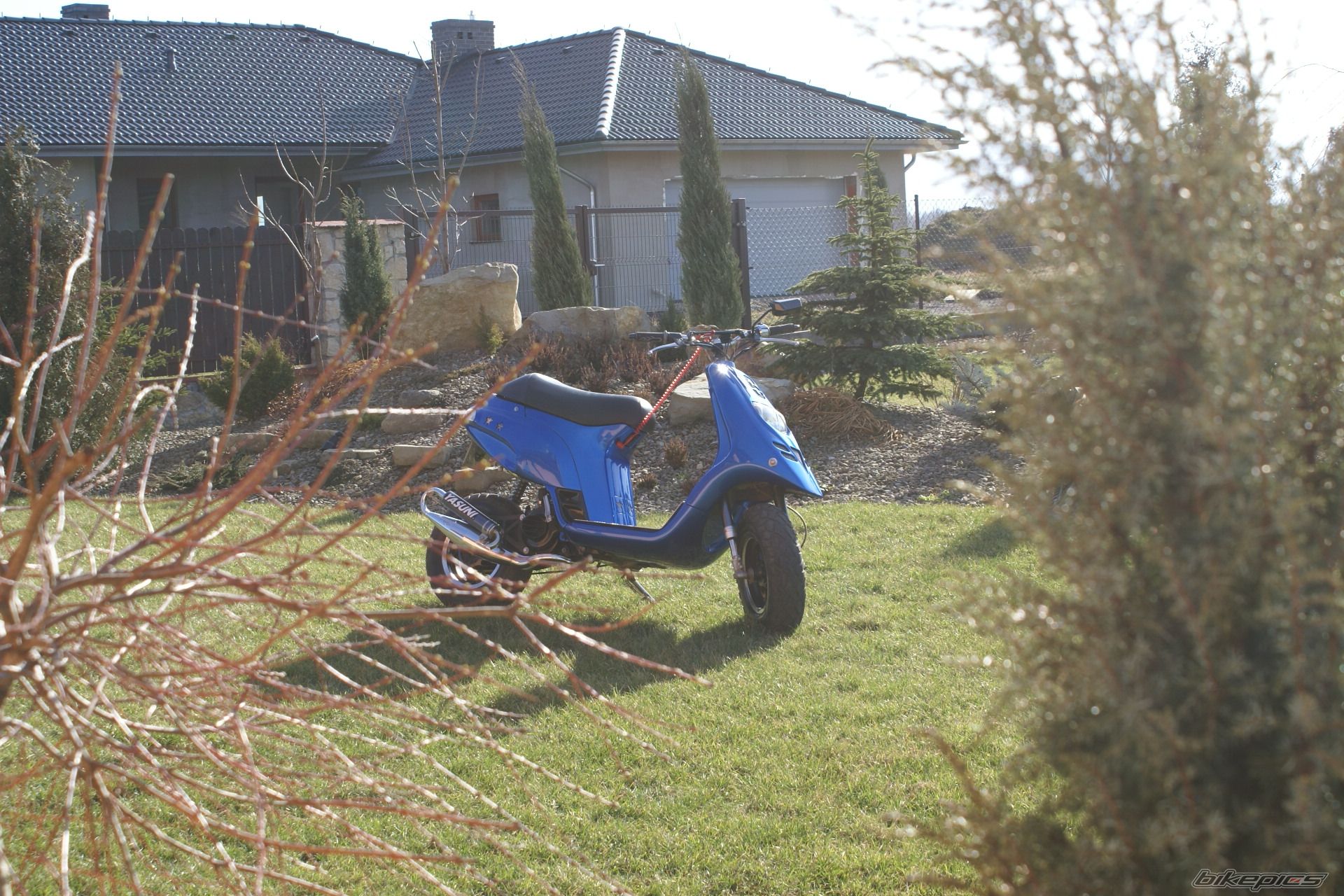 2003 PIAGGIO TPH 50 | Picture 1194458 motorcycle photo